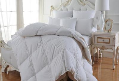 【北天鵝】 北天鵝誠(chéng)邀加盟